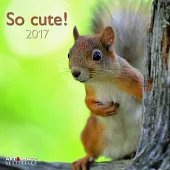 So cute! A&I 2017 Calendar