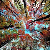 Forest A&I 2017 Calendar