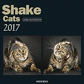 Knesebeck Shake Cats 2017 Calendar
