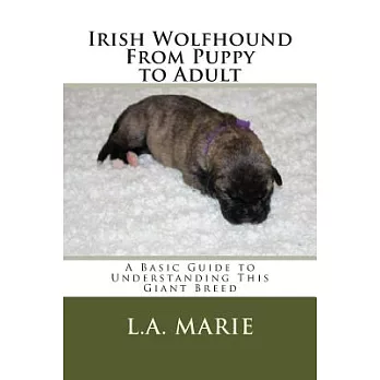 Irish Wolfhound From Puppy to Adult: A Basic Guide to Understanding This Giant Breed