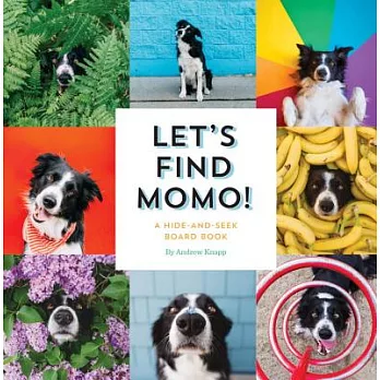 Let’s Find Momo!: A Hide-And-Seek Board Book