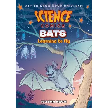 Bats  : learning to fly