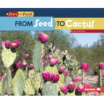 From seed to cactus