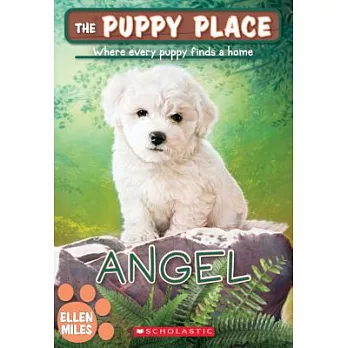 The puppy place. 46, Angel