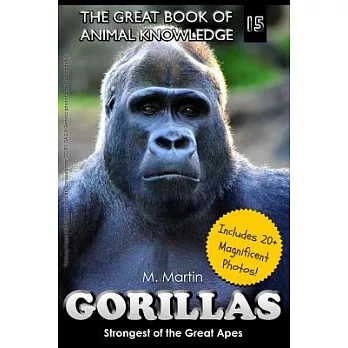 Gorillas  : strongest of the great apes