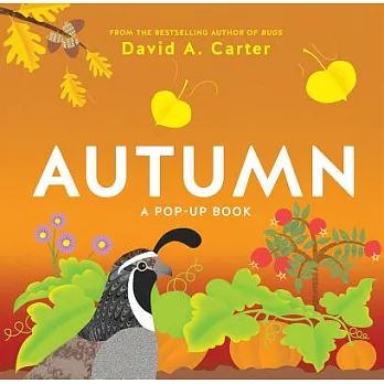 Autumn: A Pop-Up Book