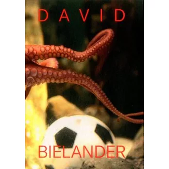 David Bielander: Twenty Years 2016-1996