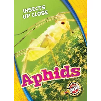 Aphids /