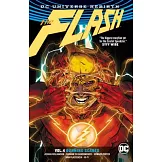 The Flash 4: Running Scared