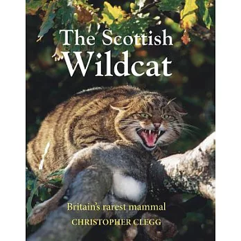 The Scottish Wildcat: Britain’s Most Endangered Mammal