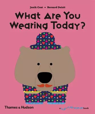 What Are You Wearing Today? (A Flip Flap Pop Up Book)