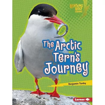 The Arctic Tern’s Journey