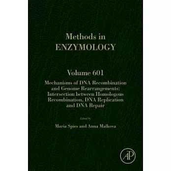Mechanisms of DNA Recombination and Genome Rearrangements: Intersection Between Homologous Recombination, DNA Replication and DN