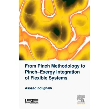 From Pinch Methodology to Pinch-Exergy Integration of Flexible Systems
