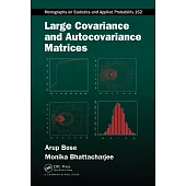 Large Covariance and Autocovariance Matrices