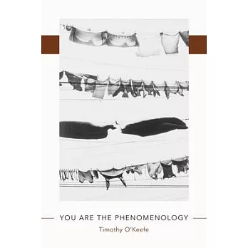 You Are the Phenomenology