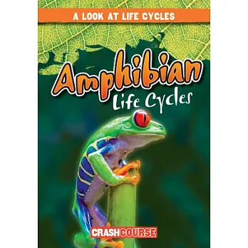 Amphibian life cycles /