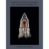 Guido Mocafico: Leopold & Rudolf Blaschka; the Marine Invertebrates