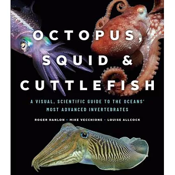 Octopus, Squid, and Cuttlefish: A Visual, Scientific Guide to the Oceans’ Most Advanced Invertebrates