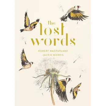 The lost words : a spell book / Robert Macfarlane, Jackie Morris.  Macfarlane, Robert, author.