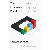 The Efficiency Paradox: What Big Data Can’t Do