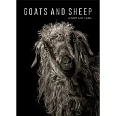 Goats and Sheep: A Portrait Farm