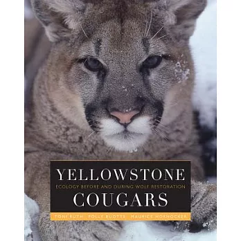Yellowstone Cougars: Ecology Before and During Wolf Restoration