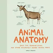 Animal Anatomy (Funny Animal Books, Funny Anatomy Books, Humor Books for Adults)