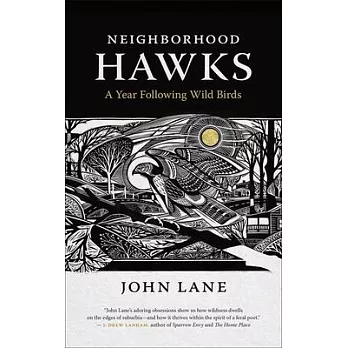 Neighborhood Hawks: A Year Following Wild Birds