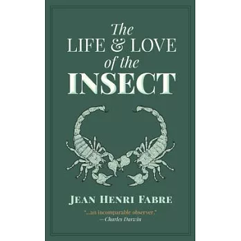 The Life & Love of the Insect