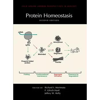 Protein Homeostasis