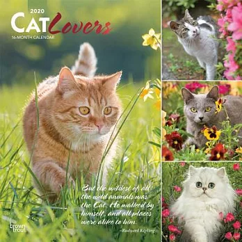 Cat Lovers 2020 Calendar: Foil Stamped Cover