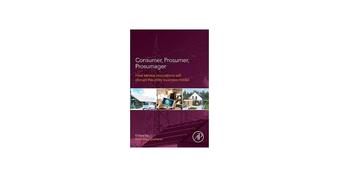 博客來-Consumer, Prosumer, Prosumager: How Service Innovations Will ...
