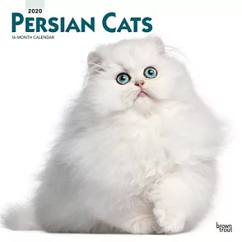 Persian Cats 2020 Calendar