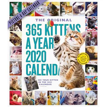 365 Kittens-a-year Picture-a-day 2020 Calendar