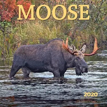 Moose 2020 Calendar