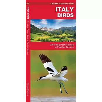 Italy Birds: A Folding Pocket Guide to Familiar Species