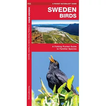 Sweden Birds: A Folding Pocket Guide to Familiar Species