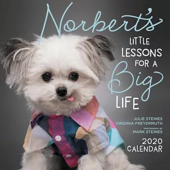 Norbert’s Little Lessons for a Big Life 2020 Calendar