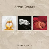Anne Geddes - Protect Nurture Love 2020 Calendar
