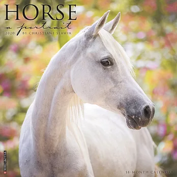 Horse - a Portrait 2020 Calendar