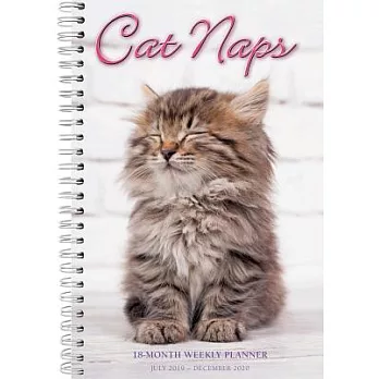 Cat Naps 2020 Planner