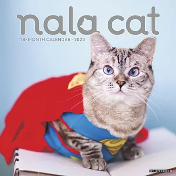 Nala Cat 2020 Calendar