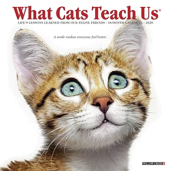 What Cats Teach Us 2020 Calendar
