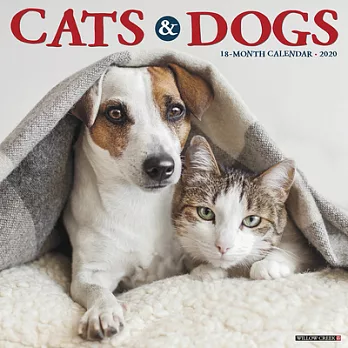 Cats & Dogs 2020 Calendar