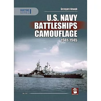 U.s. Navy Battleships Camouflage 1941-1945