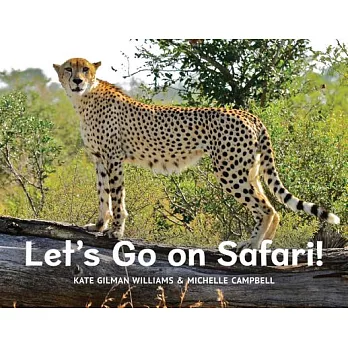 Let’s Go on Safari