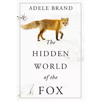 The Hidden World of the Fox