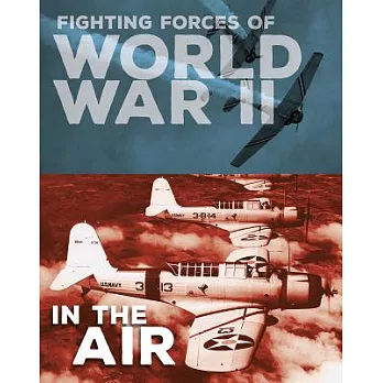 Fighting Forces of World War II in the Air