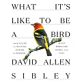 What Its Like to Be a Bird: From Flying to Nesting, Eating to Singing--What Birds Are Doing, and Why